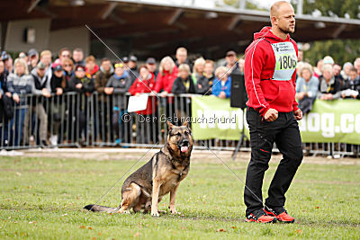Henrik vom Wolfsheim