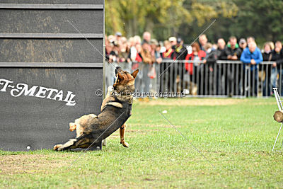 Henrik vom Wolfsheim