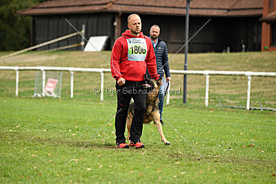 Henrik vom Wolfsheim