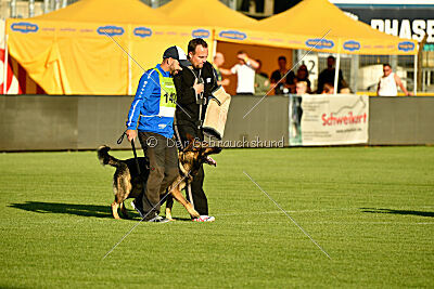 Herkules vom Wällerhorst