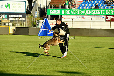 Herkules vom Wällerhorst