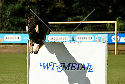 Herkules vom Wällerhorst