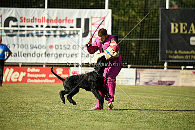 Hermann von der Schönburg