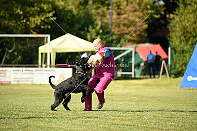 Hermann von der Schönburg