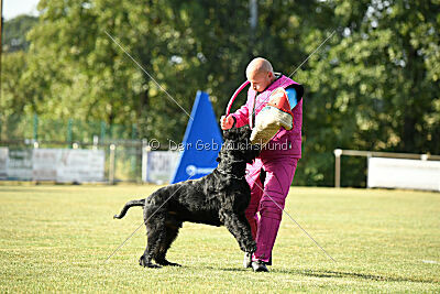 Hermann von der Schönburg