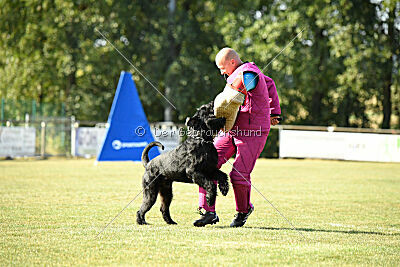 Hermann von der Schönburg