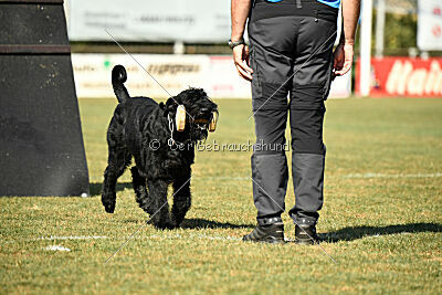 Hermann von der Schönburg