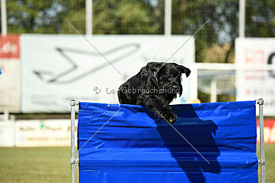 Hermann von der Schönburg