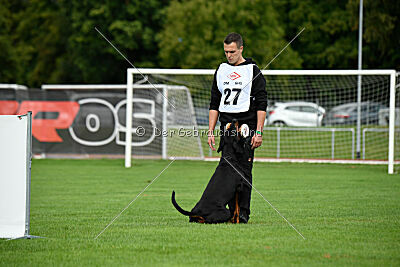 Hermanus of the Two Roses