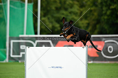 Hermanus of the Two Roses