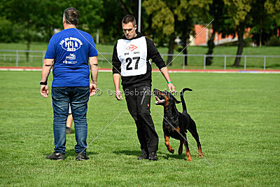 Hermanus of the Two Roses