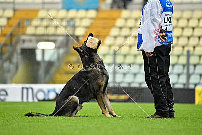 Hermes vom Brachtpetal