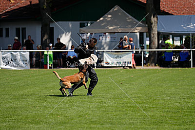 Herros von der bösen Nachbarschaft