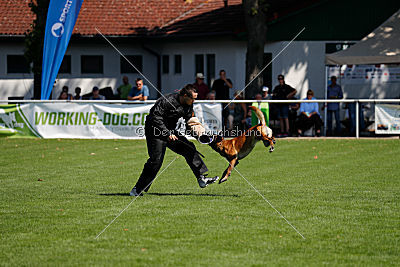 Herros von der bösen Nachbarschaft