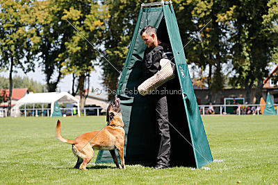 Herros von der bösen Nachbarschaft