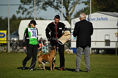 Herros von der bösen Nachbarschaft
