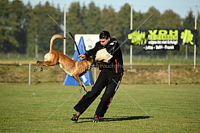 Herros von der bösen Nachbarschaft
