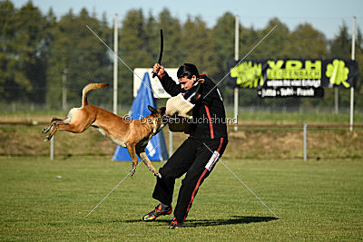 Herros von der bösen Nachbarschaft