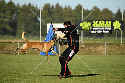 Herros von der bösen Nachbarschaft