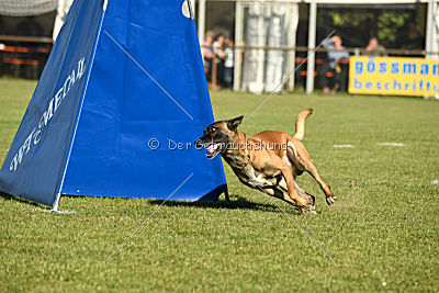Herros von der bösen Nachbarschaft