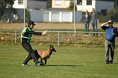 Herros von der bösen Nachbarschaft