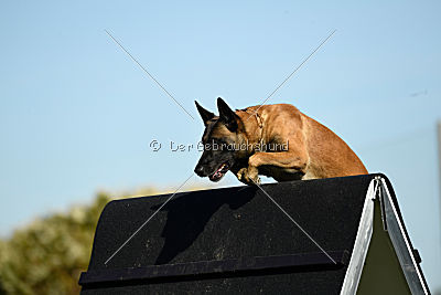 Herros von der bösen Nachbarschaft
