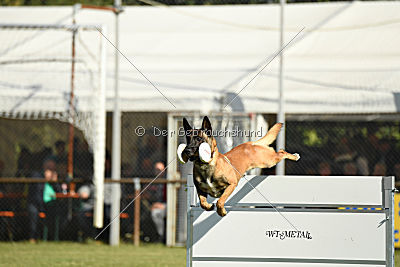 Herros von der bösen Nachbarschaft