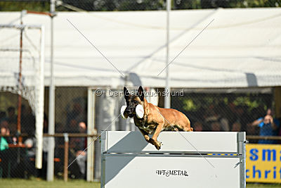 Herros von der bösen Nachbarschaft