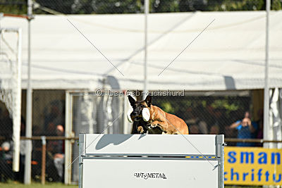 Herros von der bösen Nachbarschaft
