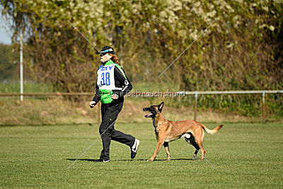Herros von der bösen Nachbarschaft