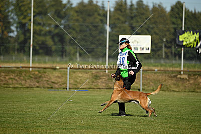 Herros von der bösen Nachbarschaft