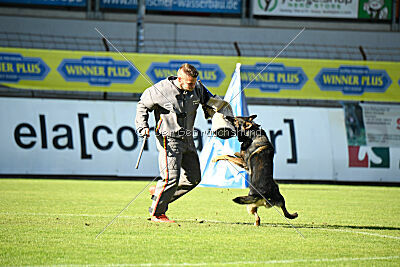 Hesselballe Hugo Junior
