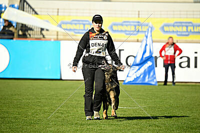Hesselballe Hugo Junior