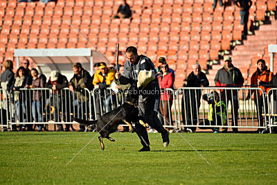 Hexe vom Speedteam Bodensee