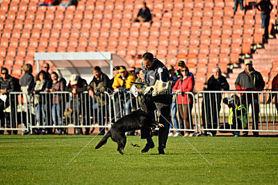 Hexe vom Speedteam Bodensee