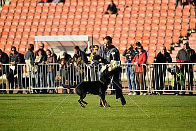 Hexe vom Speedteam Bodensee