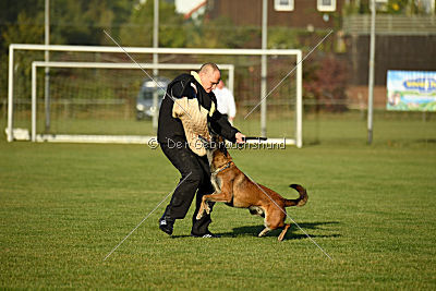 High Drives Co-Pilot