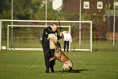 High Drives Co-Pilot