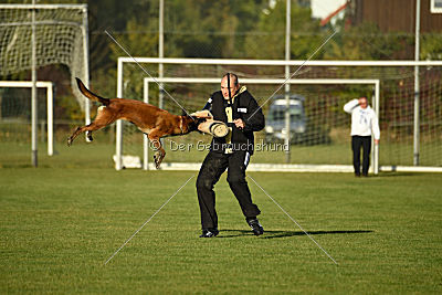 High Drives Co-Pilot