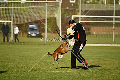 High Drives Co-Pilot