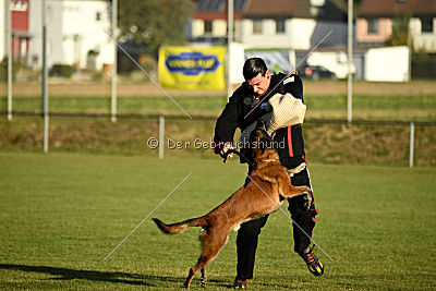 High Drives Co-Pilot