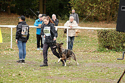 Hilde vom Spektefeld