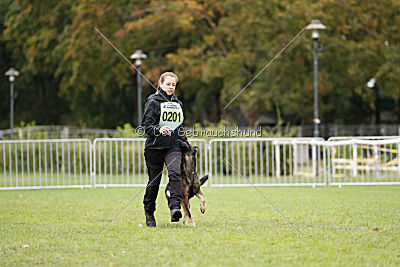 Hilde vom Spektefeld