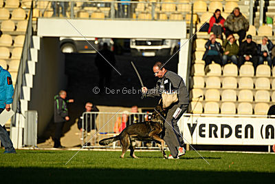 Hilde vom Spektefeld