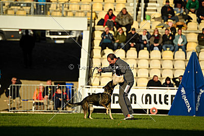 Hilde vom Spektefeld