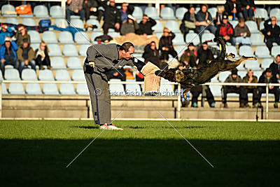 Hilde vom Spektefeld