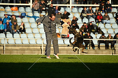 Hilde vom Spektefeld