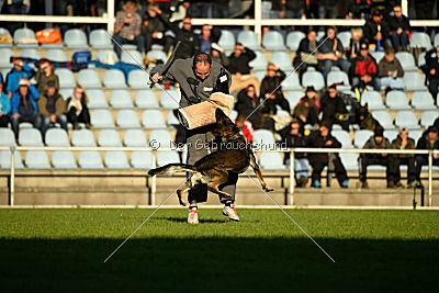 Hilde vom Spektefeld