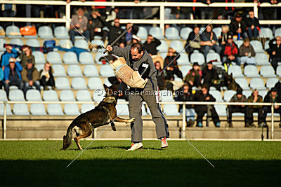 Hilde vom Spektefeld