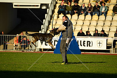 Hilde vom Spektefeld